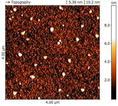 Magnetische Probe, Topographie