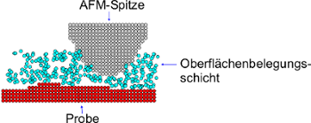 Oberflächenbelegung